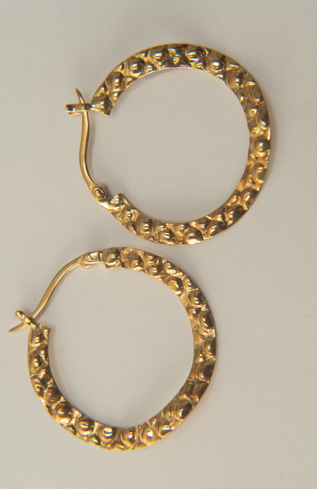 Paulette Hoops 02